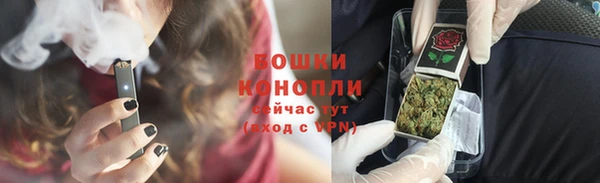 индика Иноземцево